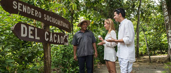 photo of COCOA ROUTE AND FINCA DUABA VISIT WITH LUNCH