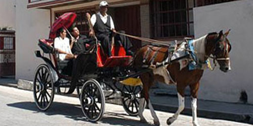 photo of PANORAMIC TOUR ON A HORSE CARRIAGE
