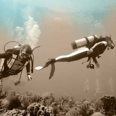 photo of DIVING IN ZAPATA